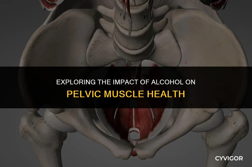 does alcohol affect pelvic muscle
