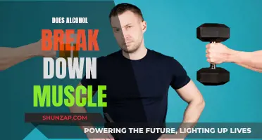 Alcohol and Muscle Breakdown: What You Need to Know
