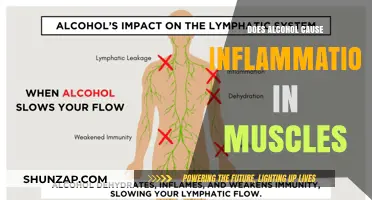 Alcohol's Impact: Inflammation and Muscle Recovery