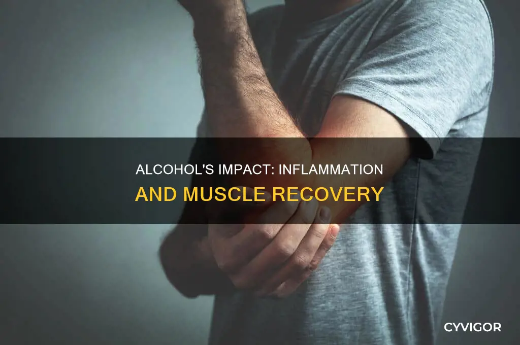 does alcohol cause inflammation in muscles