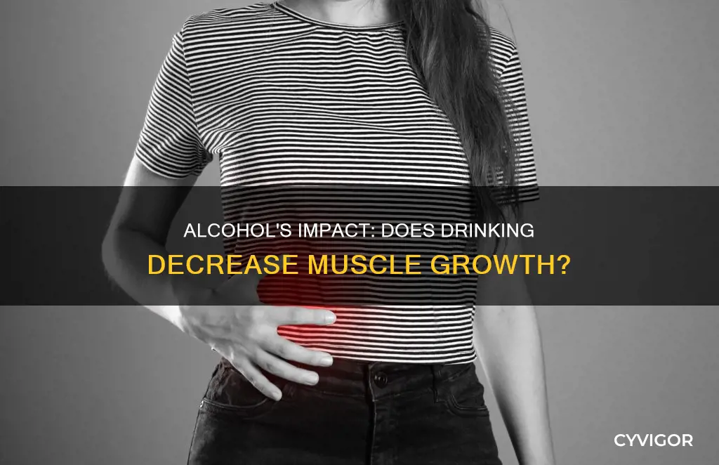 does alcohol decrease muscle