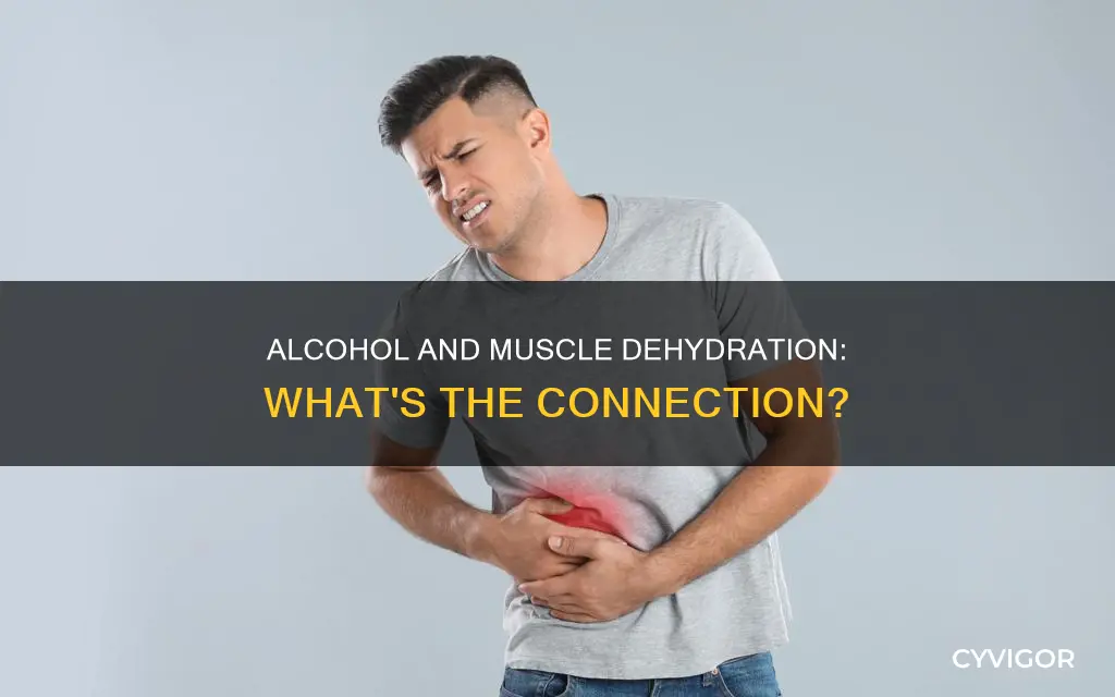 does alcohol dehydrate muscles