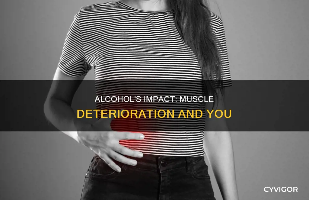 does alcohol deteriorate your muscles