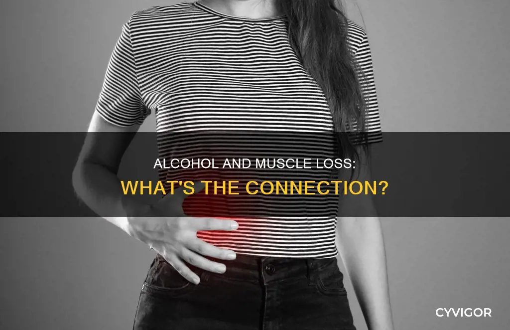 does alcohol eat muscle