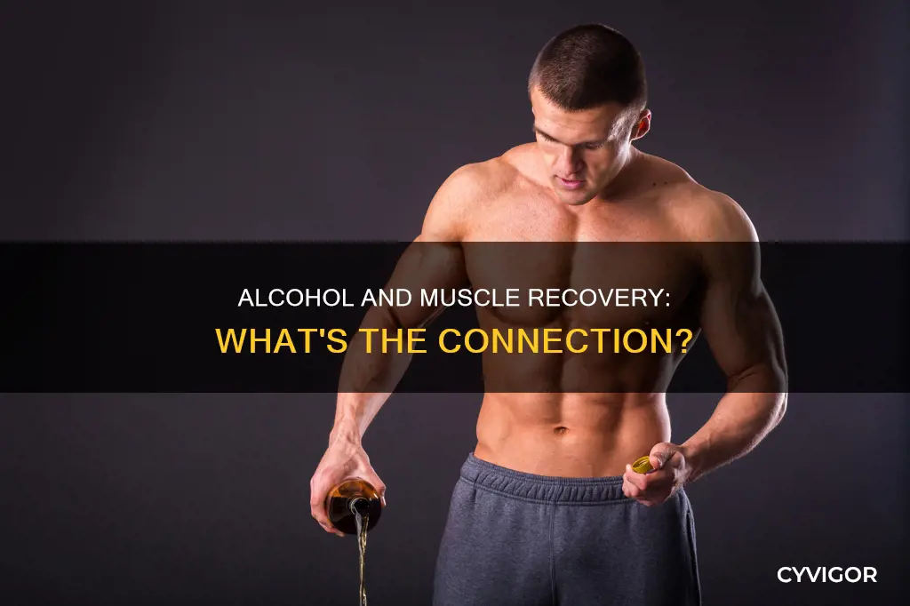 does alcohol effect muscle healing