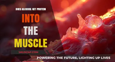 Fuel Your Fitness: The Truth About Alcohol and Muscle Protein