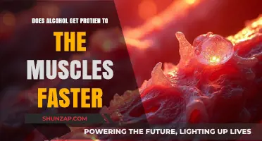 Fuel Your Fitness: The Truth About Alcohol and Muscle Protein