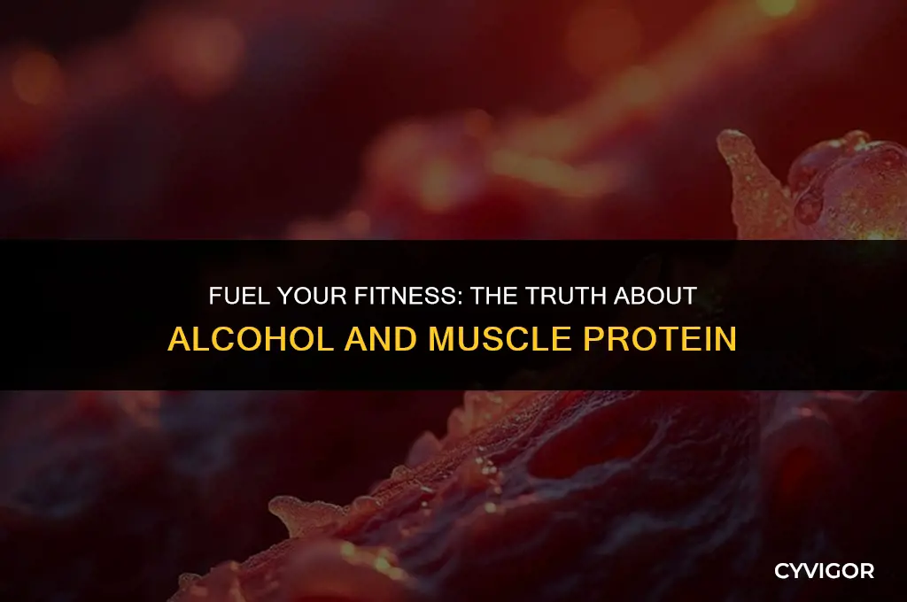 does alcohol get protien to the muscles faster
