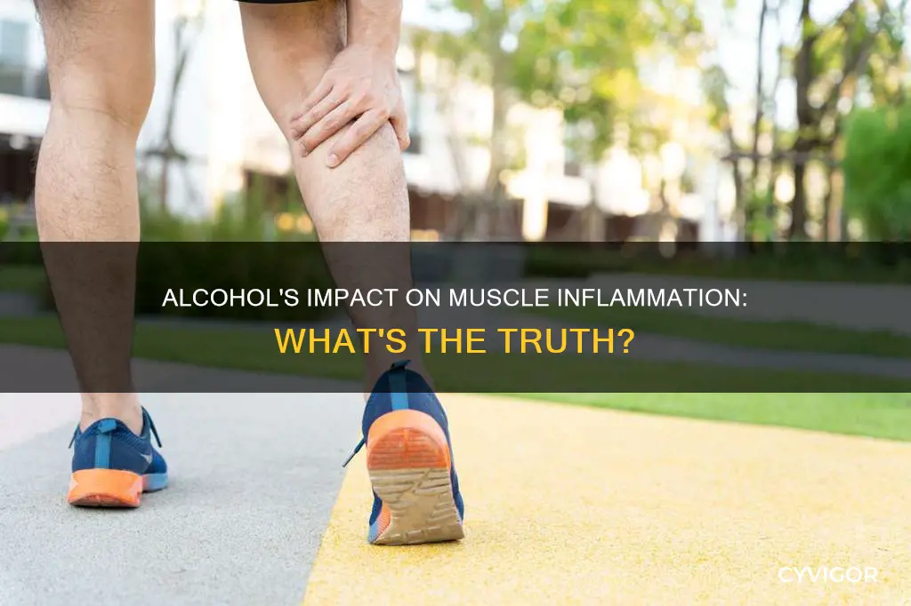 does alcohol increase muscle inflammation