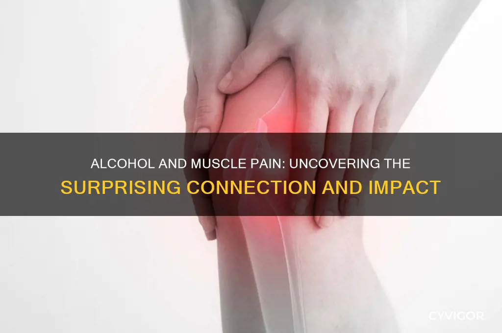 does alcohol increase muscle pain