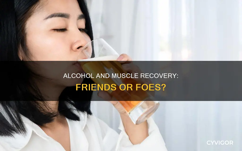 does alcohol increase muscle soreness