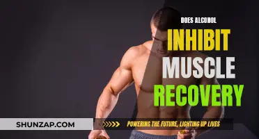 Alcohol's Impact on Muscle Recovery: What You Need to Know