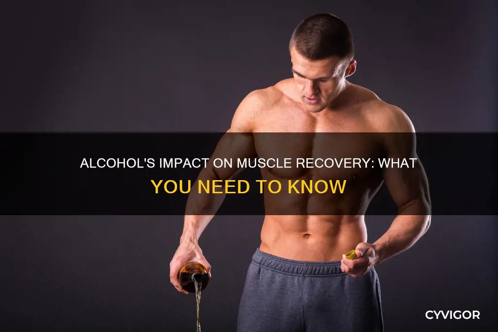 does alcohol inhibit muscle recovery