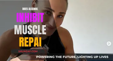 Alcohol and Muscle Repair: What's the Connection?