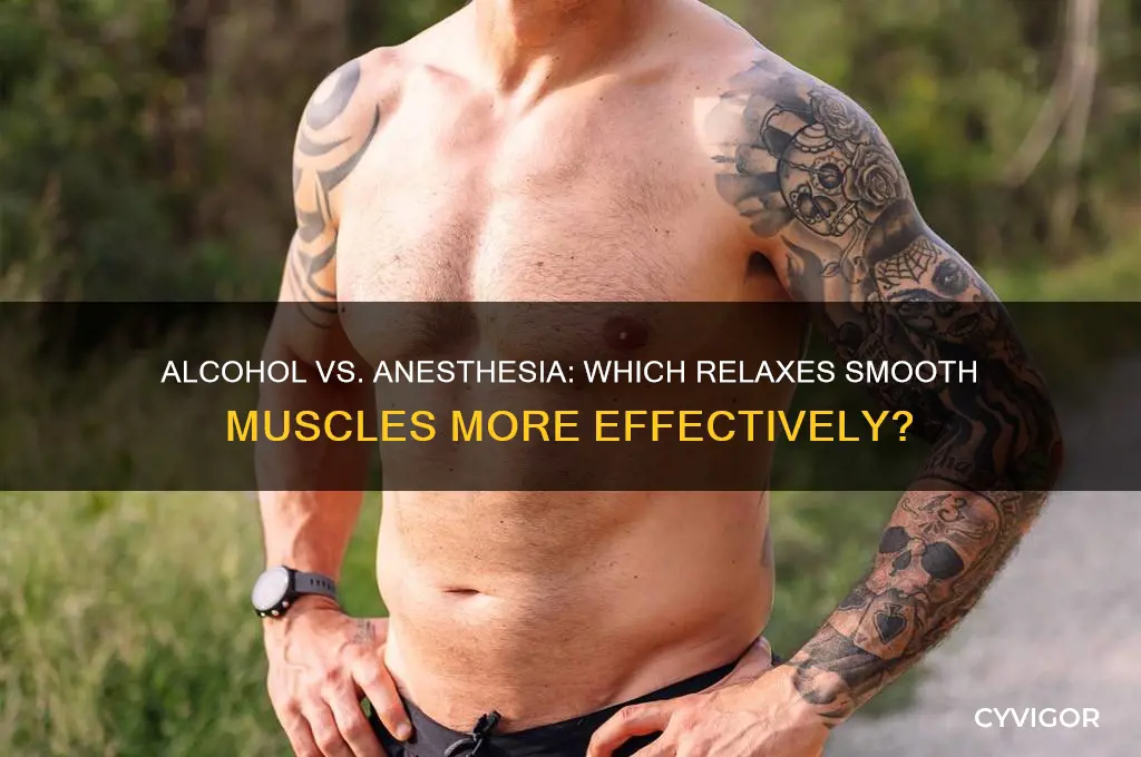 does alcohol or anesthesia relax smooth muscles