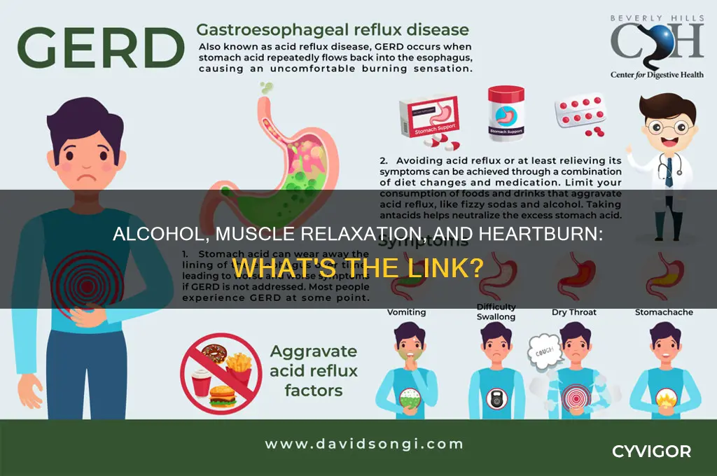 does alcohol relax muscles causing heartburn