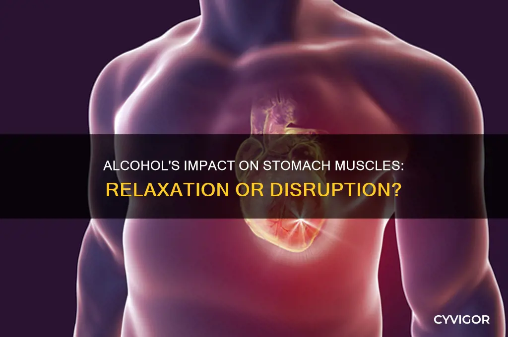 does alcohol relax stomach muscles