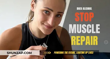 Alcohol's Impact: Hindering Muscle Repair and Growth