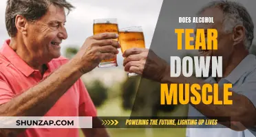 Alcohol's Impact on Muscle: What You Need to Know