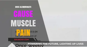 Alendronate Side Effects: Understanding Muscle Pain Risks