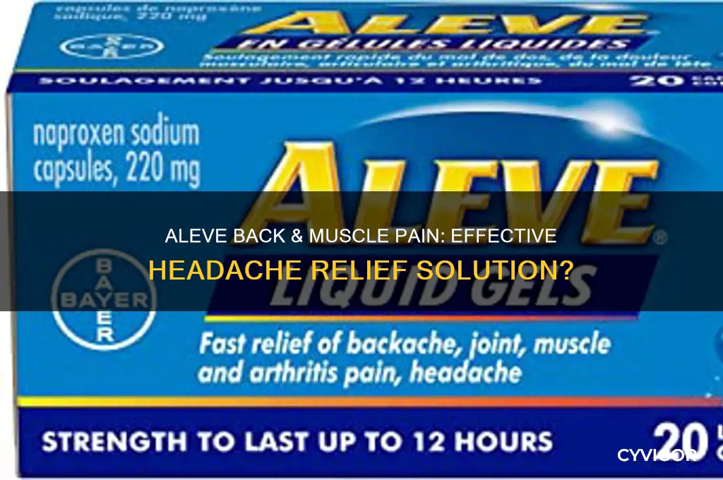 does aleve back and muscle pain relief headaches