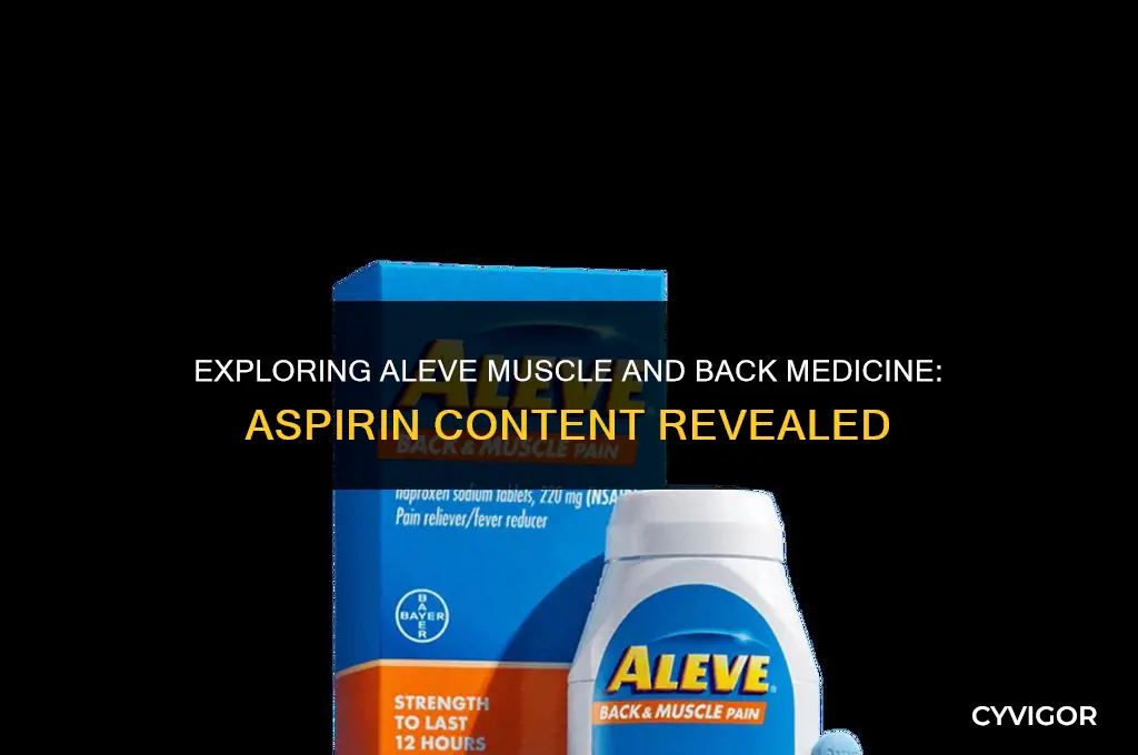 does aleve muscle and back medicina have aspirin in it