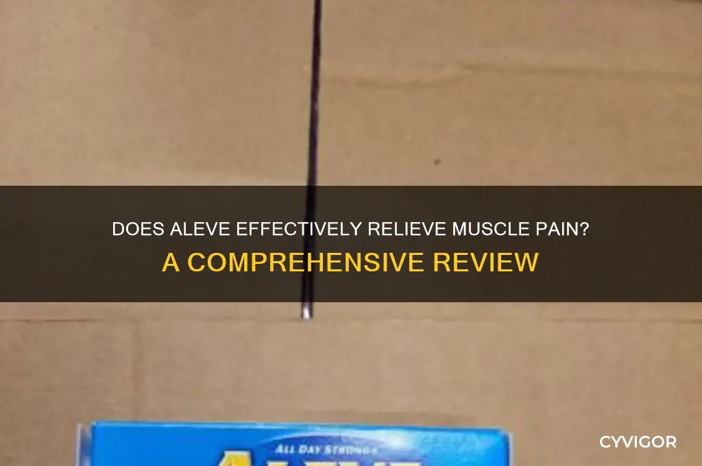 does aleve work for muscle pain