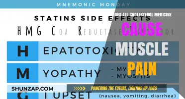 Cholesterol Medication: Understanding Muscle Pain Risks