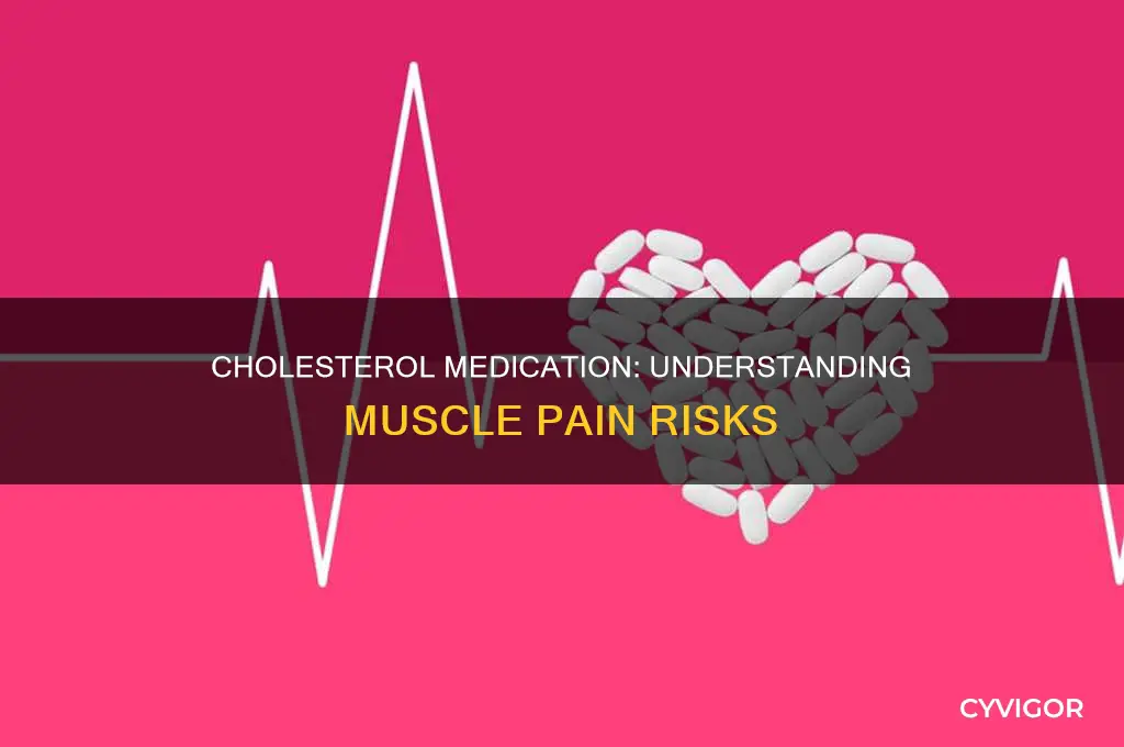 does all cholesterol medicine cause muscle pain