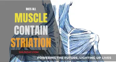 Muscle Striations: A Universal Feature?