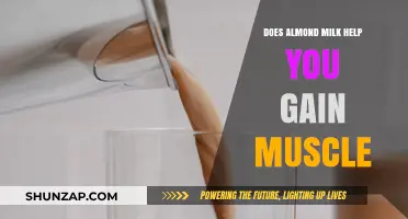 Almond Milk and Muscle Gain: Fact or Fiction?