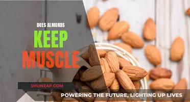 Almonds: Muscle-Friendly Superfood for Fitness Enthusiasts