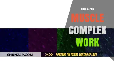 Does Alpha Muscle Complex Work? Unveiling the Truth Behind the Hype
