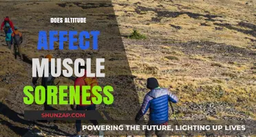 Exploring the Impact of Altitude on Muscle Soreness: A Comprehensive Guide