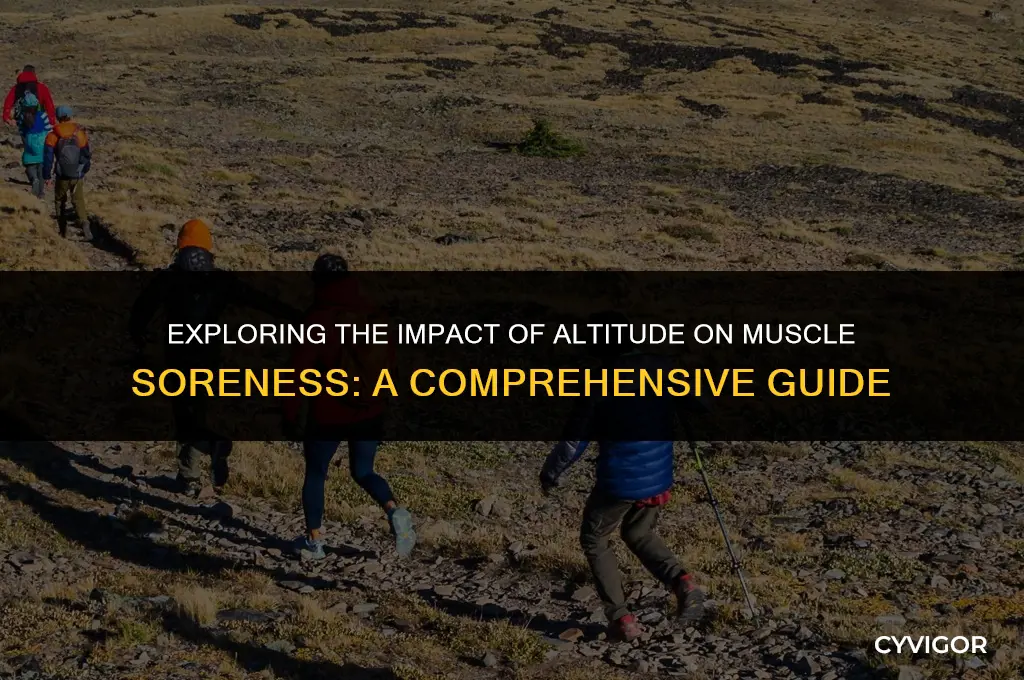 does altitude affect muscle soreness