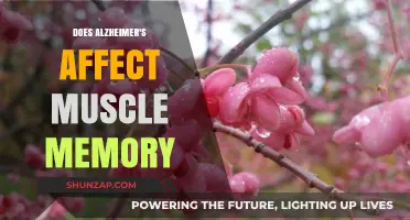 Exploring Alzheimer's Impact on Muscle Memory: A Comprehensive Analysis