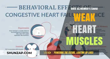 Alzheimer's and Heart Health: Understanding the Link