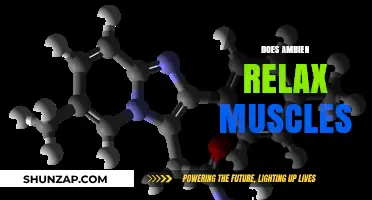 Ambien's Muscle Relaxation Effects: Fact or Fiction? Exploring the Science