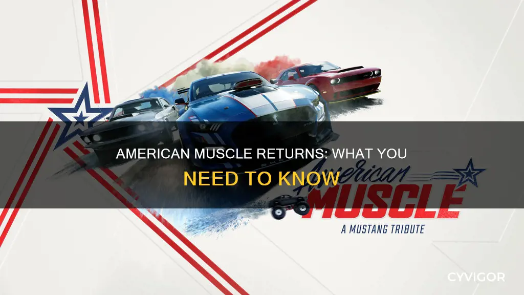 does american muscle do returns