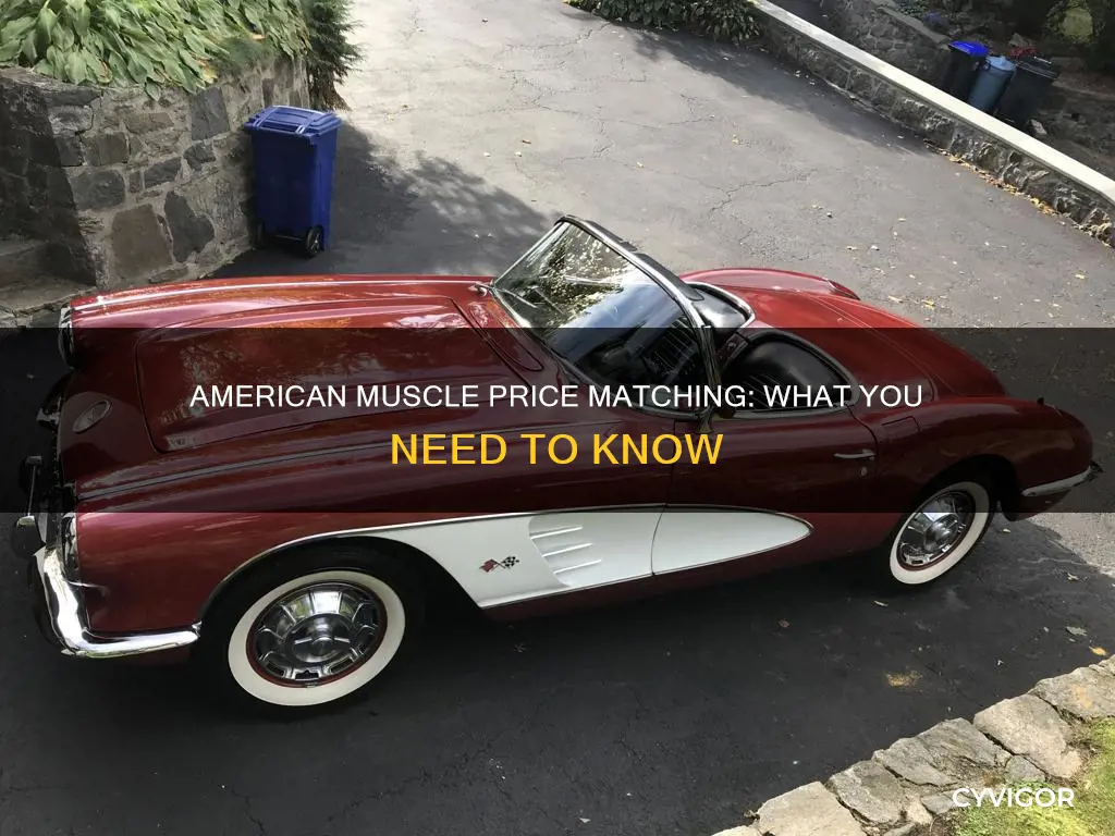 does american muscle price match