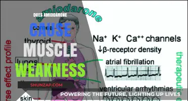 Amiodarone's Side Effects: Muscle Weakness Explained