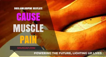 Amlodipine Besylate: Understanding Muscle Pain as a Side Effect