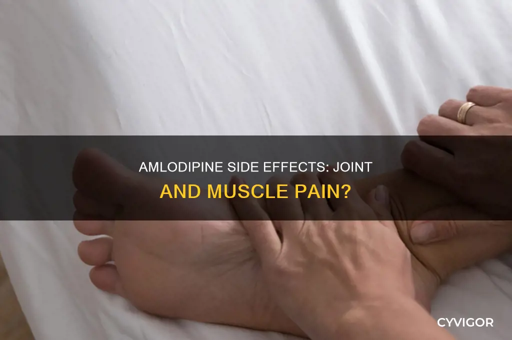 does amlodipine cause joint and muscle pain