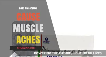Amlodipine and Muscle Aches: What's the Link?