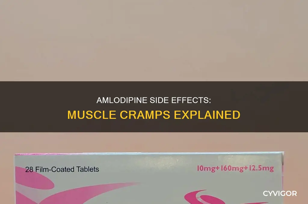 does amlodipine cause muscle cramps