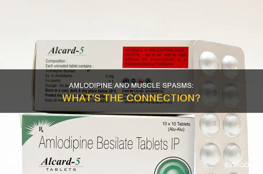 does amlodipine cause muscle spasms