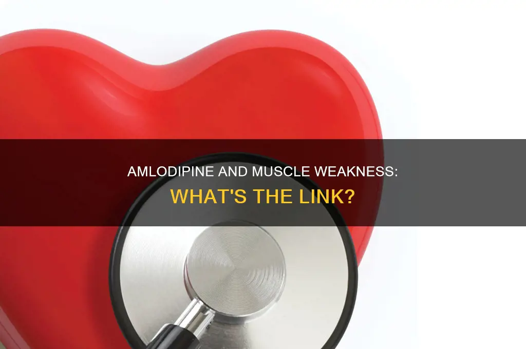 does amlodipine cause muscle weakness