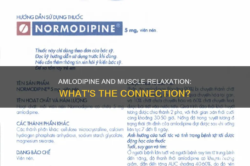 does amlodipine cause relaxed sphincter muscles
