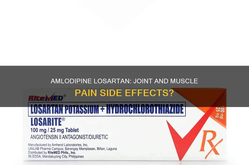 does amlodipine losartan cause muscle and joint pain