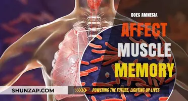 Exploring the Link Between Amnesia and Muscle Memory: What We Know